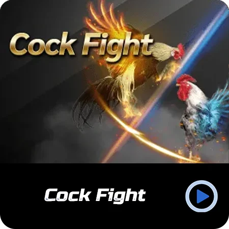 Cock-Fight